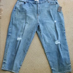 Eloquii jeans